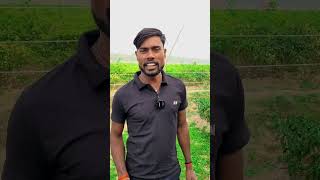 Santosh Bhai Ka Blog 🤣😜 Desi Rampal funny comedy [upl. by Tahp]