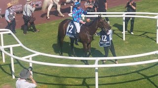 Caulfield Race 8 Pride of Jenni [upl. by Gretal94]