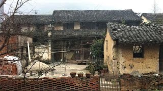 Young man goes home to help parents renovate old house with bamboo and trees [upl. by Granlund744]