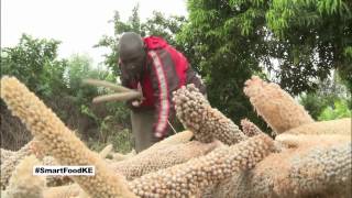 Kenyan farmers reap benefits from growing drought tolerant crops [upl. by Siegfried]