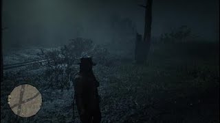 Red Dead Redemption 2 Where to farm perfect snake skins [upl. by Adai]