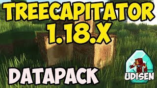 How to get Tree Chopper in Minecraft 1182  download amp install TreeCapitator 1182 Datapack [upl. by Molli554]