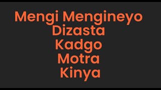 Dizasta Vina  Mengi Mengineyo Feat Kadgo Kinya amp Motra The future [upl. by Leshia]