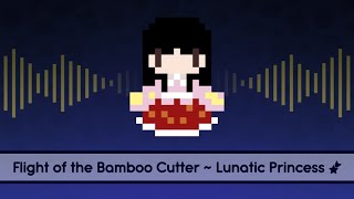 【Touhou Lyrics】 Flight of the Bamboo Cutter  Lunatic Princess [upl. by Genisia971]