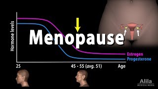 Menopause Perimenopause Symptoms and Management Animation [upl. by Paulina]