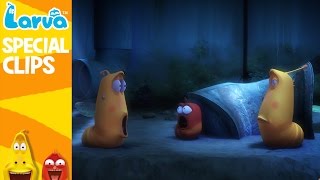 LARVA Season 2 Episode 112  222  Best Cartoons 2022 🍟 Comics  Mini Series from Animation LARVA [upl. by Lhadnek924]