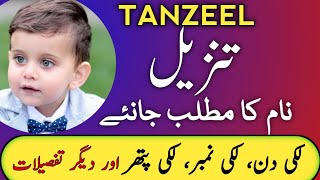 Tanzeel Name Meaning In Urdu  Tanzeel Naam Ka Matlab  Tanzeel Meaning  Top Islamic Name [upl. by Eycats109]