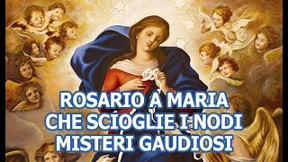 Rosario a Maria che scioglie i nodi  Misteri Gaudiosi [upl. by Krauss]