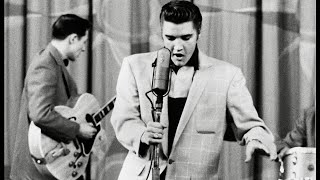 ELVIS PRESLEY DON’T FORGET written and sung by Terry Stephenson [upl. by Huba]