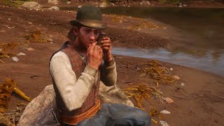 Antagonize Sean with harmonica Red Dead Redemption 2 [upl. by Ocsinarf]