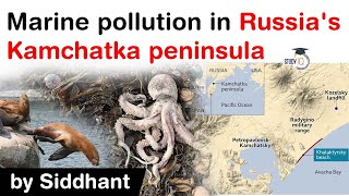 Marine pollution in Russias Kamchatka peninsula  Mass deaths of marine animals discovered [upl. by Haswell548]