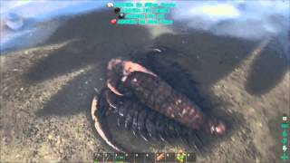 Ark survival evolved farmear silica pearl oil y chitin  Trilobites loot [upl. by Stalder]