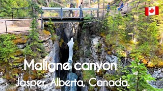 Maligne canyon attraction in jasper jasper national park attraction in Alberta jasper Alberta [upl. by Lexis]