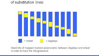 A public Axiom SNP chip for wheat and its wild relatives [upl. by Roleat]