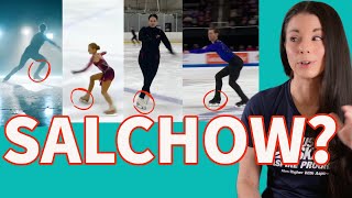 The Great Salchow Controversy Alternate Jump Entrance [upl. by Oakley865]