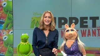 Something Is Not Quite Right With Kermit on GMA [upl. by Johanna]