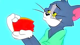 Tom and Jerry cartoon video  Funny clip tom amp jerry  Full episode [upl. by Viva819]