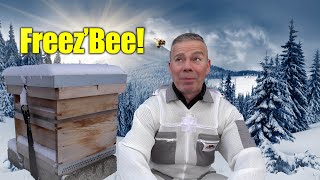 Will My Bees FREEZE To Death 🐝 Ep 264 [upl. by Aitrop]