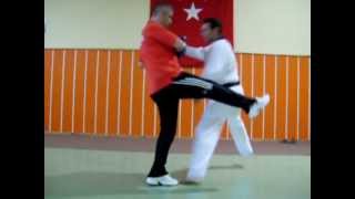 8Bazı durumlarda taktik çalışmaları Taekwondo Antrenörlük Kursu Dr Şakir Bezci [upl. by Oretos]