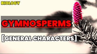 Gymnosperms  General characteristics  Biology  Educational info [upl. by Etz]