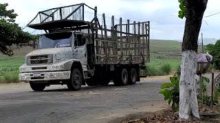 Carregamentos de cana pra usina2023 2024Caminhões no transportes canavieiro [upl. by Odessa]