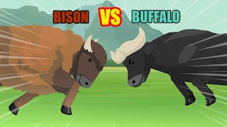 Bison vs Buffalo  Animal Tournament S1  Animal Animation [upl. by Thomey202]