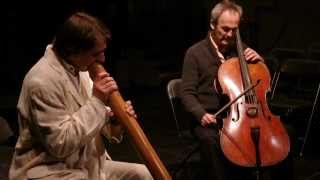 Didgeridoo und Violoncello Improvisationen [upl. by Rahr]