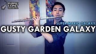 Gusty Garden Galaxy from Super Mario Galaxy  ft Thomas Law flute  Purple Comet Orchestra [upl. by Nnylyaj741]