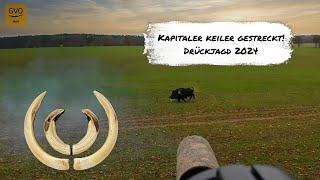 Was kann die iZEEKER IG420 Wildkamera Testaufnahmen amp Fazit [upl. by Euqinahs102]