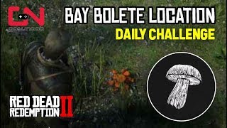 RDR2 Online  Pick 5 Bay Bolete Picked Daily Challenge  Bay Bolete Location [upl. by Raquel647]