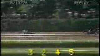 Affirmed  1978 Belmont Stakes [upl. by Lorry]