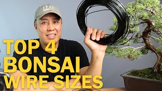 Top Four Bonsai Wire Sizes for Wiring a Bonsai Tree [upl. by Leff598]