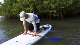 Stand Up Paddling  Getting Started [upl. by Donelu]