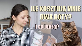 ILE MIESIĘCZNIE WYDAJE NA KOTY 💸🐈  KARMY DLA KOTA [upl. by Luhey113]