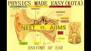 ANATOMY OF THE EAR AND HEART AUDITORY OSSICLES SEMICIRCULAR CANALS VESTIBULE COCHLEA FOR NEET6 [upl. by Sparke]