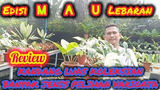 EDISI MAU LEBARAN‼️REVIEW KANDANG LUAS KOLEKSIAN BANYAK JENIS PILIHAN VARIGATA [upl. by Stucker]