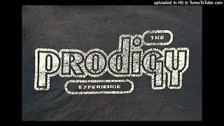 The Prodigy  Climbatize  Everybody In The Place 10 Live Remix [upl. by Harold]