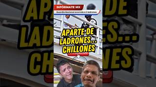 Aparte de ladrones… Chillones 😹guardianacional delincuente mexico [upl. by Torruella606]