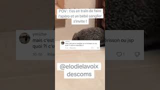 Commentaires TikTok chantés par IA  Un marcassin de qualité 🦔 [upl. by Jasmina]