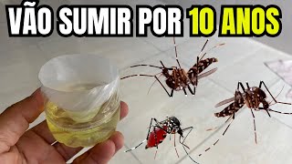 Isso Faz Mosquitos e Pernilongos SUMIREM PARA SEMPRE [upl. by Daley693]