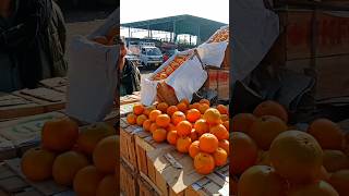 Export quality Pakistani kinnow fruit streetfruits kinnow shorts [upl. by Kendell]