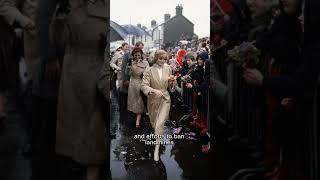 Princess Diana The Peoples Princess A Legacy of Love and Compassion historyshortsdianaspencer [upl. by Llehcim]