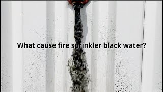 The Dark Truth Behind Fire Sprinkler Water [upl. by Orimisac886]