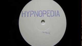 Hypnopedia  Pylorus Acidtrance 1995 [upl. by Ecirp]