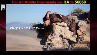 Endukila Nanu Video Song With Lyrics  Heart Attack  HD Nithin  Adah Sharma  Puri [upl. by Aprilette]