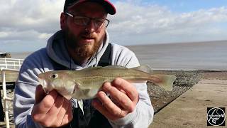 Fishing ROCKS Episode 3 Early spring Shore fishing Penarth beach Cardiff [upl. by Nerrak]