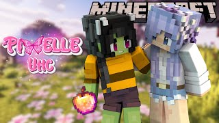 DIAMONDS  Minecraft Pixelle UHC S1  Ep 2 [upl. by Cantu]