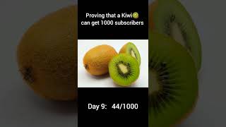 Proving that a Kiwi 🥝 can get 1k Day 9 [upl. by Ahkos864]