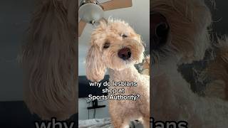 Watch my dog laugh with his tail 😂 OG sound tt truebatdad funnydog dogcomedy dadjokes joke [upl. by Anonyw]