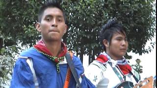 VIENTO HUICHOL 2015 NUEVO [upl. by Yelnoc555]